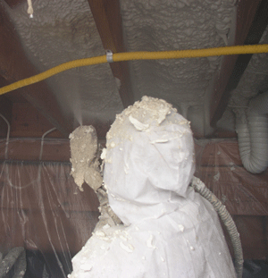 Abbotsford  crawl space insulation